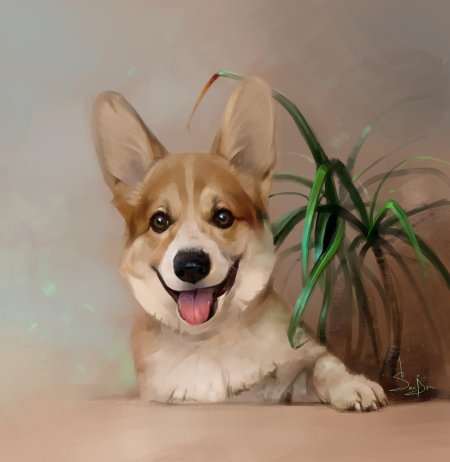 Вельш-корги пемброк