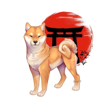 Собака шиба ину