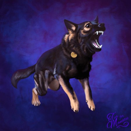 Немецкая овчарка злая