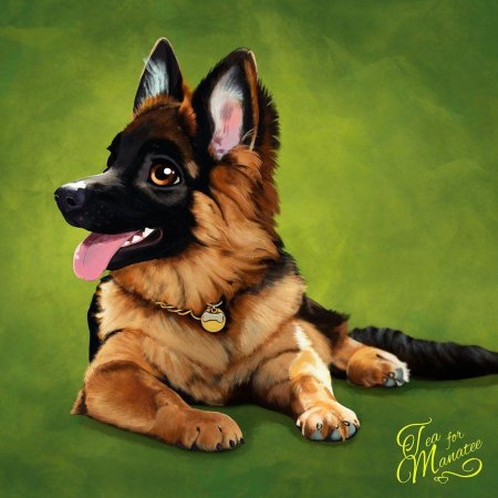 Собака немецкая овчарка