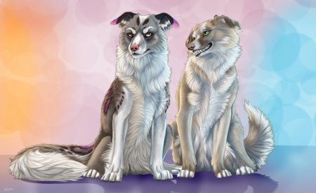 Собаки арты