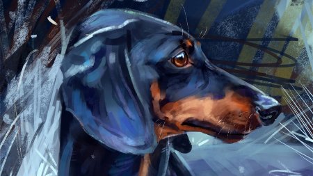 Собака такса