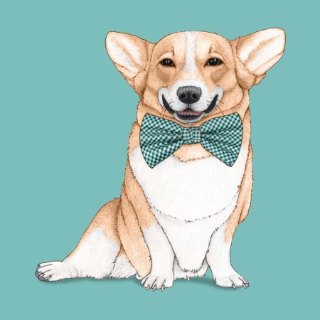 Корги пемброк арт