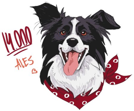 Бордер колли рисунок