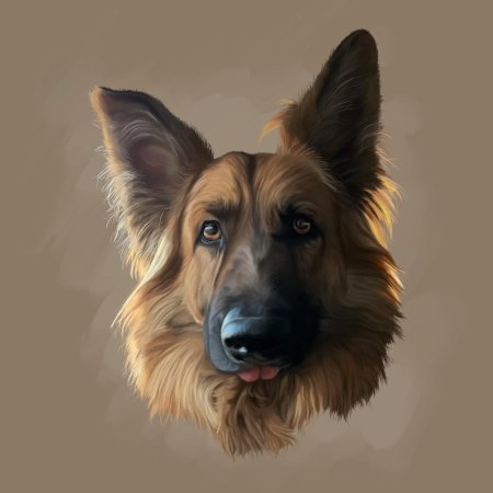 Немецкая овчарка