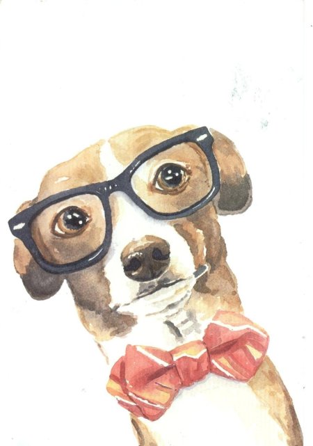 Собачка в очках
