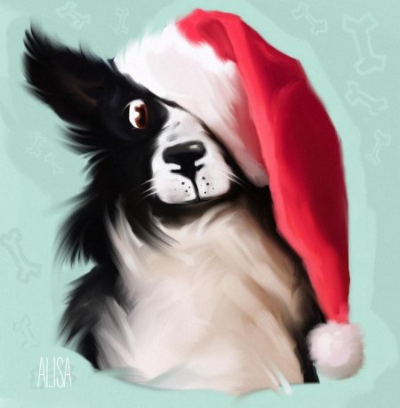 Новогодний бордер колли