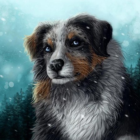 Австралийская овчарка аусси арт