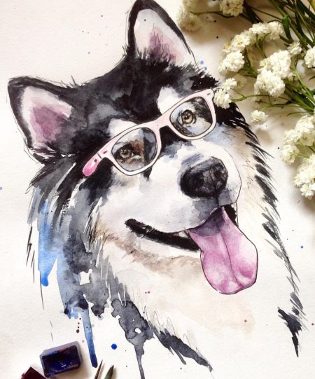 Хаски акварелью