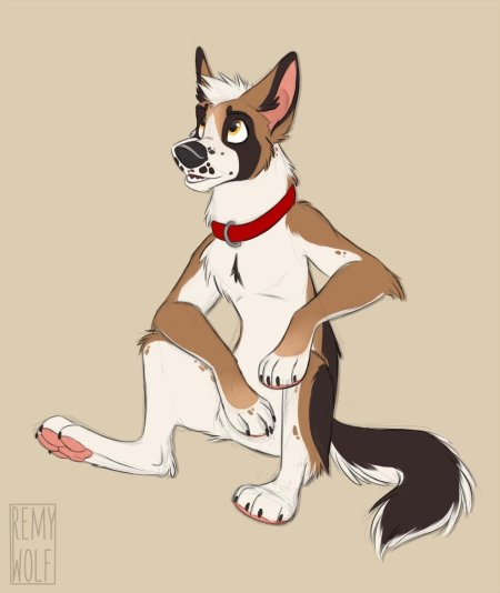 Фурри пес референс