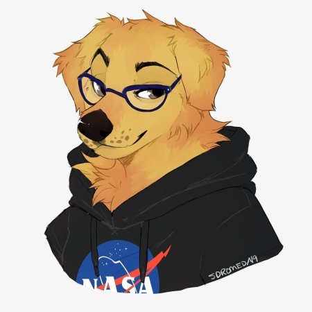 Фурри ретривер