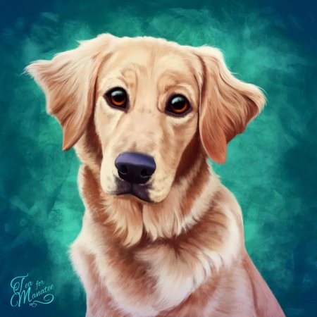 Золотистый ретривер