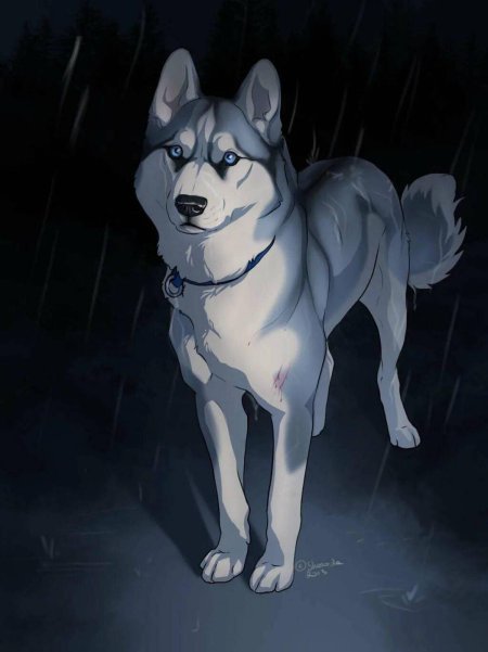 Сибирский хаски арт