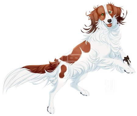 Голландский спаниель коикерхондье