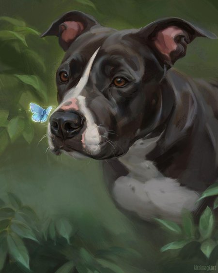 Американский стаффордширский терьер арт