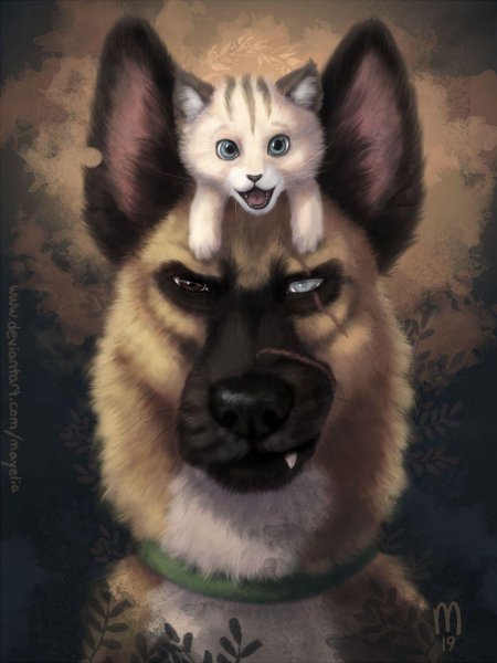 Пикси и брут