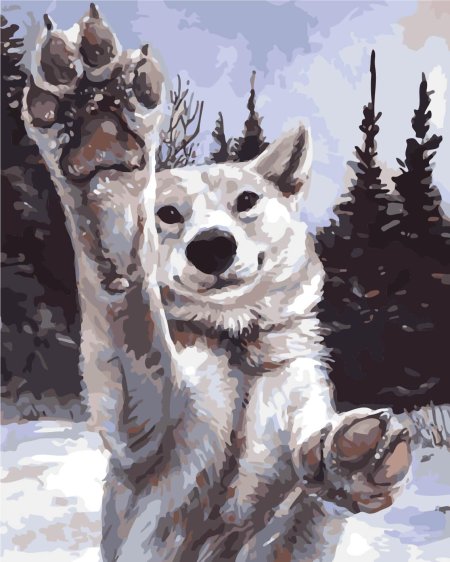 Картина по номерам хаски