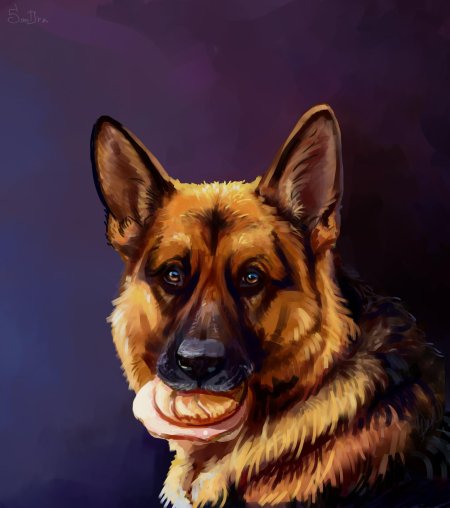 Немецкая овчарка