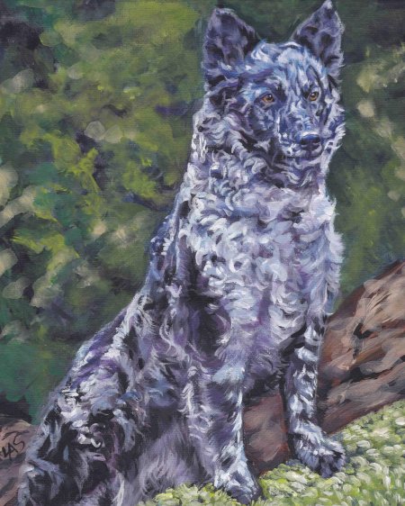 Венгерская овчарка муди