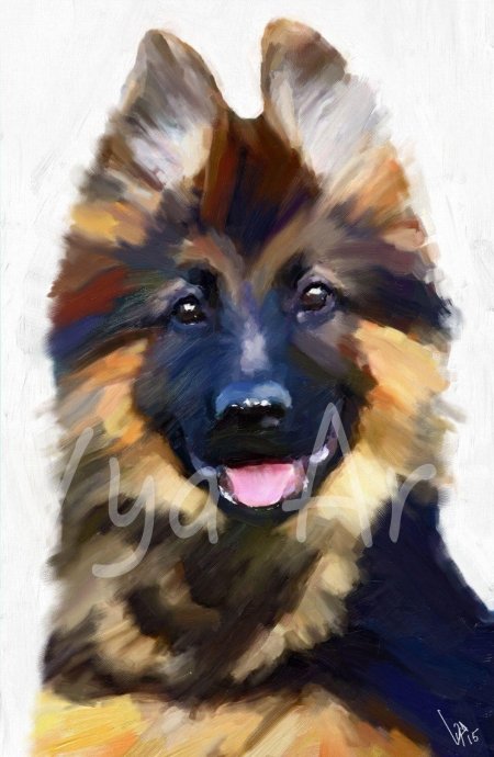 Арт немецкая овчарка