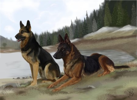 Восточно-европейская овчарка мухтар