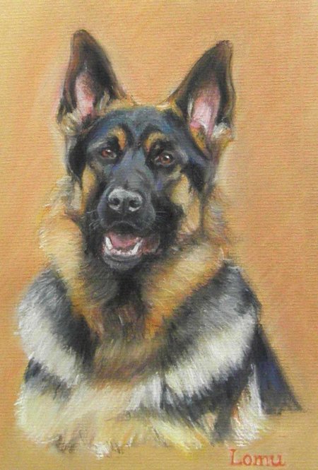 Собака немецкая овчарка рисунок