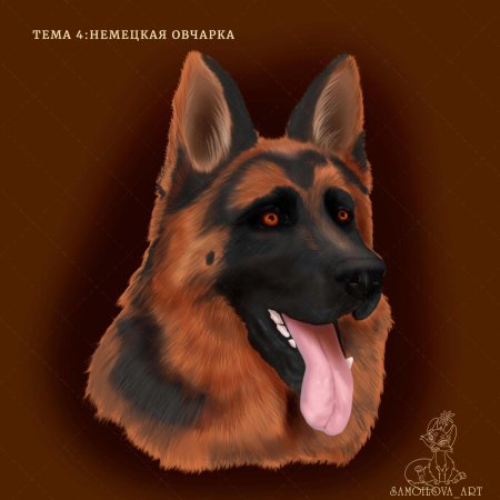 Немецкая овчарка