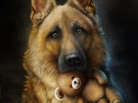 Собака немецкая овчарка