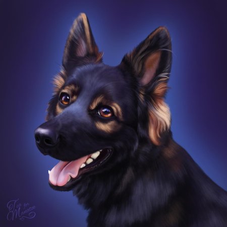 Немецкая овчарка арт