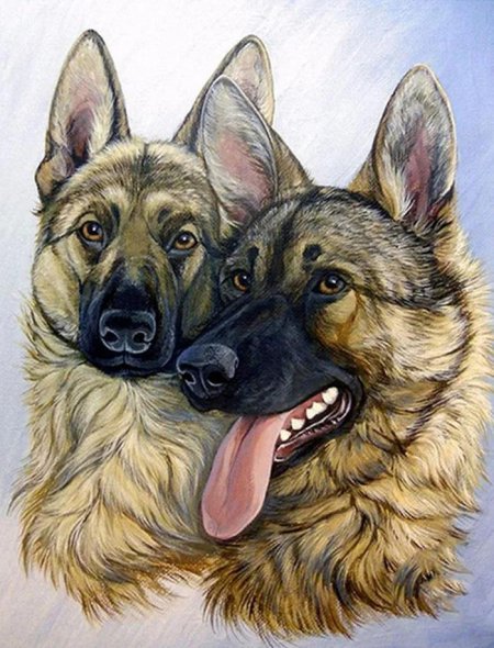 Алмазная мозаика немецкая овчарка