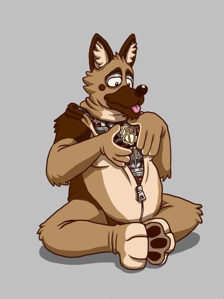 Фурри немецкая овчарка