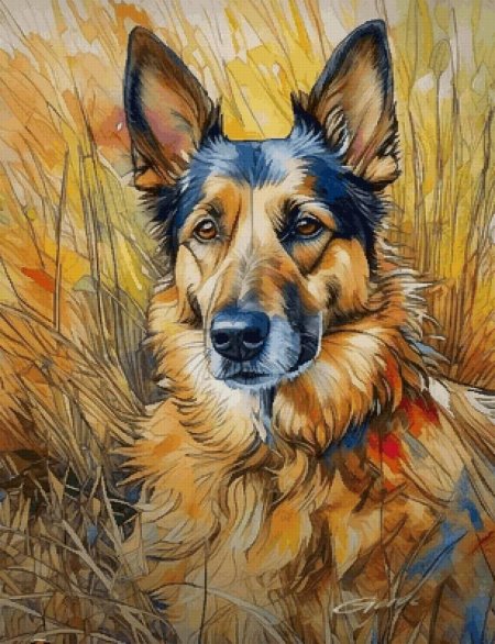 Овчарка акварелью