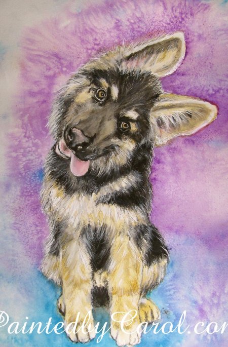 Восточноевропейская овчарка акварель