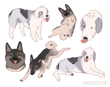 Собака референс