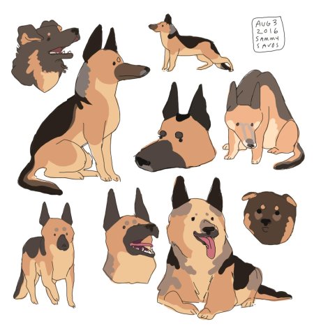 Собака рисунки