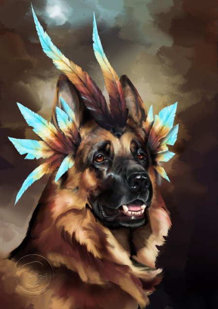 Немецкая овчарка