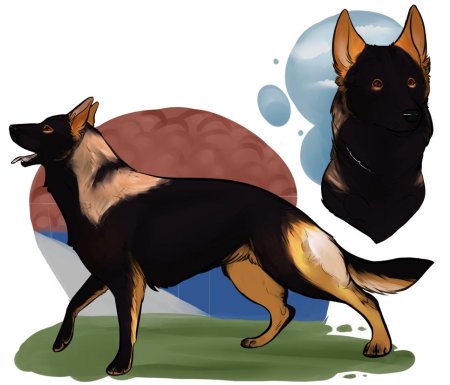 Арты австралийских овчарок