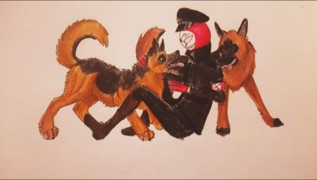 Фурри немецкая овчарка