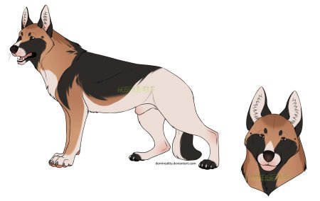 Немецкая овчарка адопт