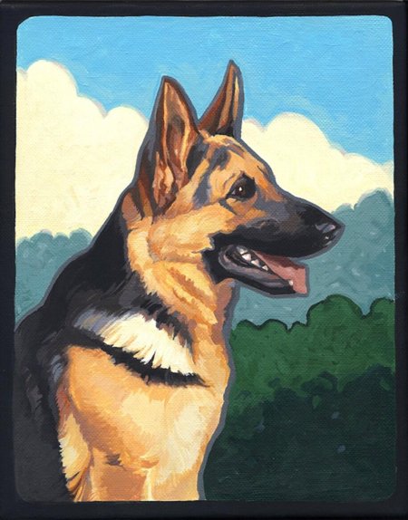 Немецкая овчарка