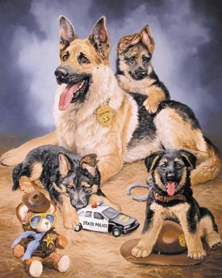 Немецкая овчарка арт