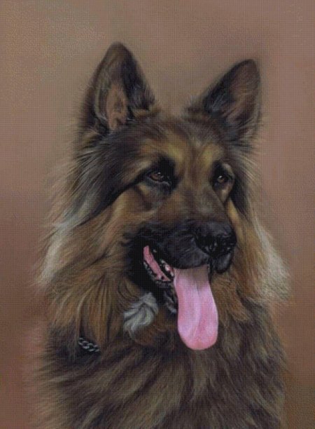 Немецкая овчарка