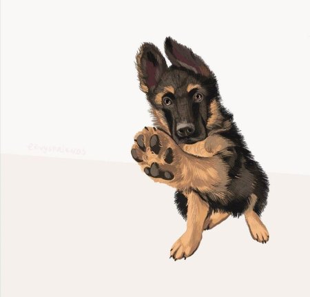 Немецкая овчарка арт