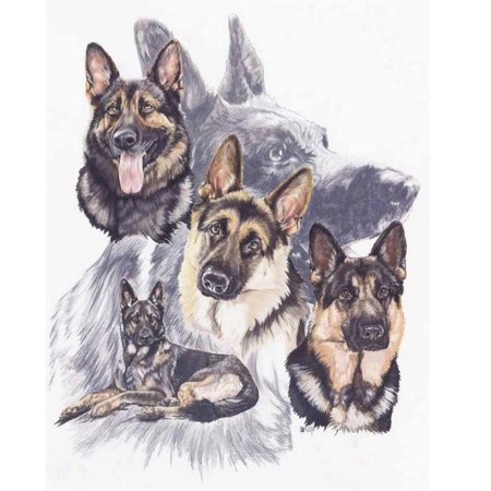 Картина немецкая овчарка