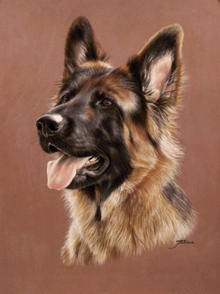 Немецкая овчарка