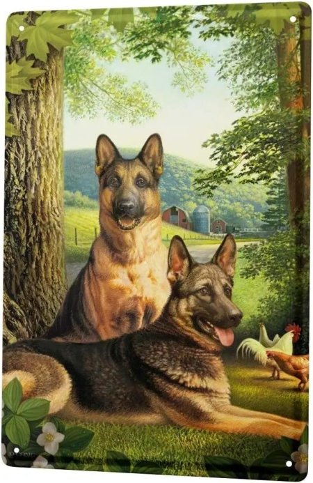 Немецкая овчарка шепард