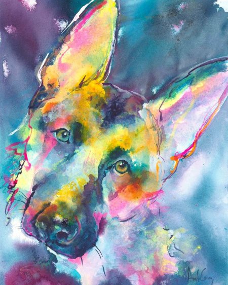 Овчарка гуашью