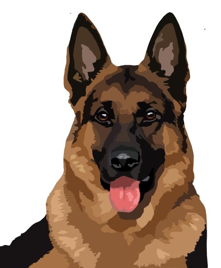 Собака овчарка немецкая