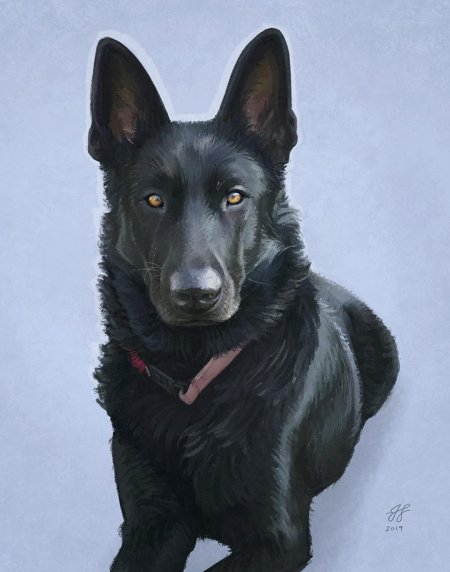 Восточноевропейская овчарка арт