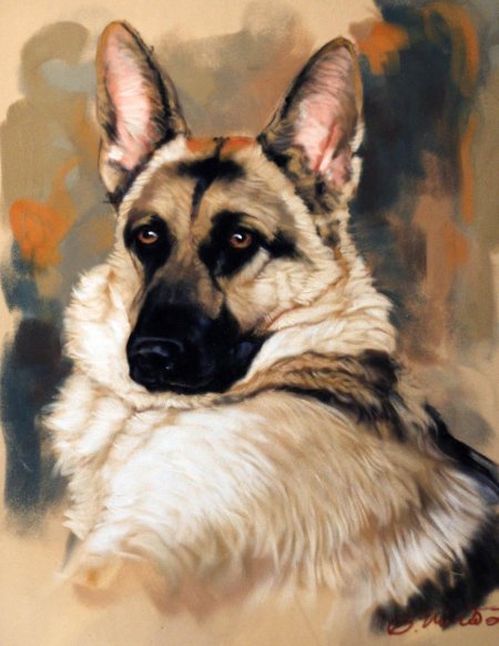 Восточно-европейская овчарка мухтар